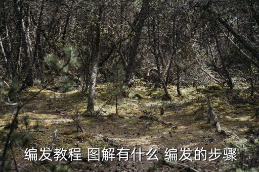 編發(fā)圖解,瀑布編發(fā)教程圖解第一步