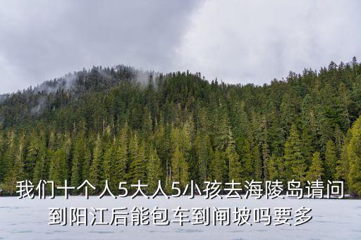 我們十個人5大人5小孩去海陵島請問到陽江后能包車到閘坡嗎要多