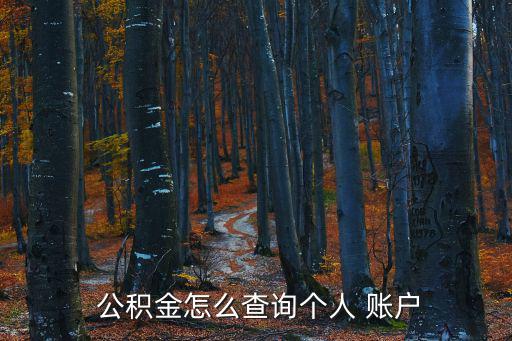  公積金怎么查詢個(gè)人 賬戶