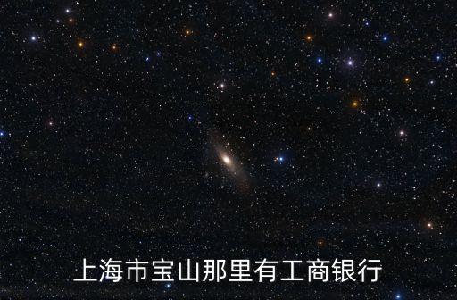 上海市寶山那里有工商銀行