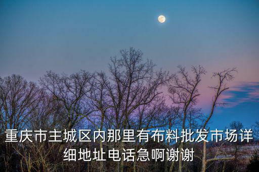 重慶市主城區內那里有布料批發市場詳細地址電話急啊謝謝