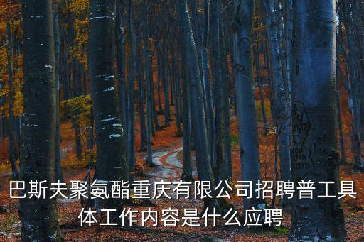 巴斯夫聚氨酯重慶有限公司招聘普工具體工作內容是什么應聘