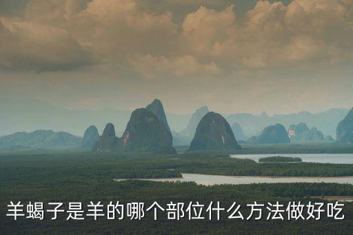 羊羯子,【羊年大吃大喝大買教你如何吃羊蝎子