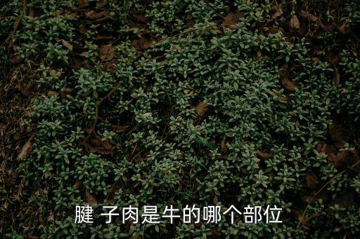 牛腱子肉,牛腱子肉怎么吃?