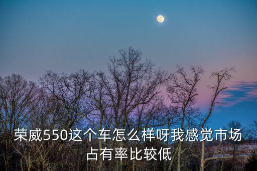 榮威550這個車怎么樣呀我感覺市場占有率比較低