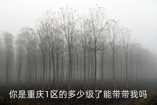 你是重慶1區(qū)的多少級了能帶帶我嗎