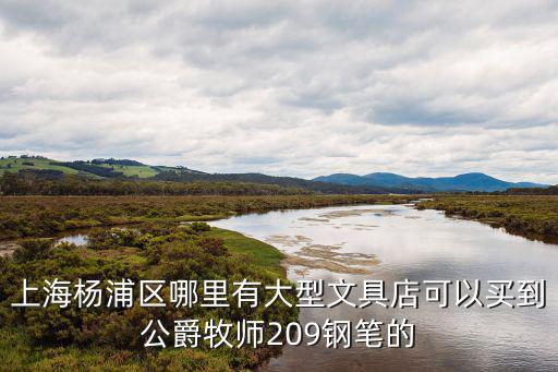 上海楊浦區(qū)哪里有大型文具店可以買到公爵牧師209鋼筆的