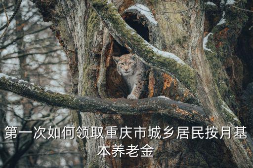 重慶市第一次啟動l級響應，在重慶通過了蒂業技凱中國投資公司的第一次面試我面試的職位