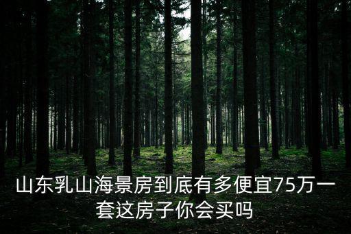 山東乳山海景房到底有多便宜75萬一套這房子你會買嗎