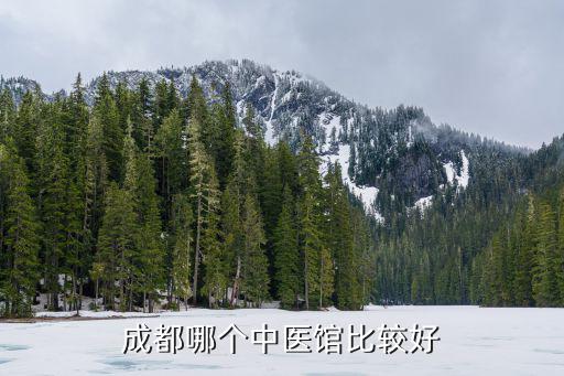 成都哪個中醫館比較好