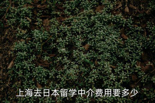 上海去日本留學中介費用要多少