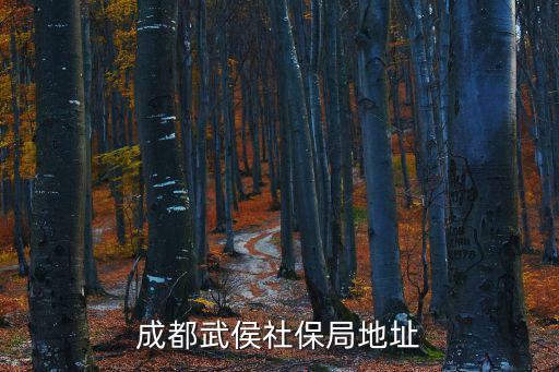 成都武侯社保局地址