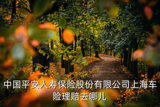 中國平安人壽保險股份有限公司上海車險理賠去哪兒