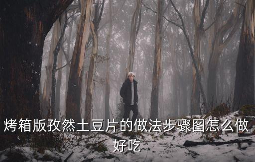 烤箱烤土豆片，烤箱版烤土豆片史上最詳細怎么做如何