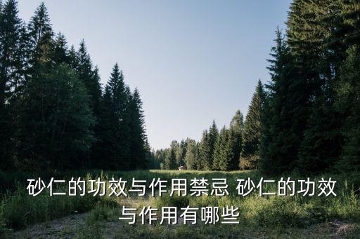  砂仁的功效與作用禁忌 砂仁的功效與作用有哪些