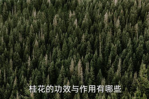  桂花的功效與作用有哪些