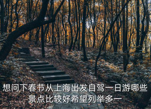 想問(wèn)下春節(jié)從上海出發(fā)自駕一日游哪些景點(diǎn)比較好希望列舉多一