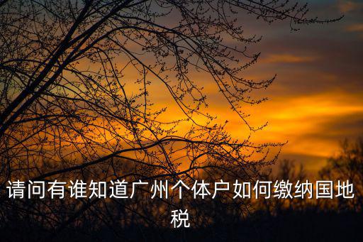 請問有誰知道廣州個體戶如何繳納國地稅