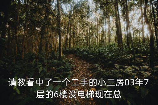 請教看中了一個二手的小三房03年7層的6樓沒電梯現在總
