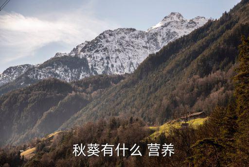 黃秋葵的營養(yǎng)價(jià)值,植物偉哥黃秋葵營養(yǎng)豐富美譽(yù)受歡迎