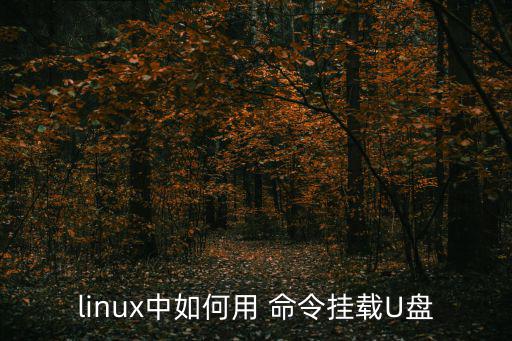 umount命令,輸入命令cd/mnt就可以進入u盤了!