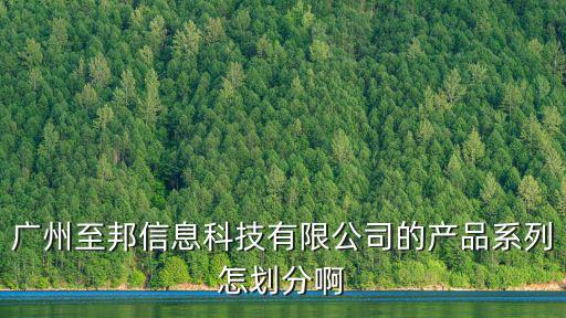 廣州至邦信息科技有限公司的產品系列怎劃分啊