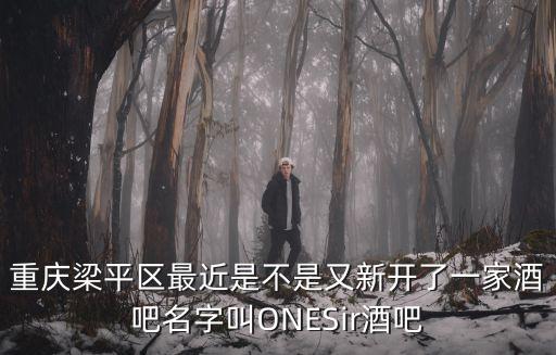 重慶市梁平區(qū)雙桂佳苑，重慶梁平區(qū)最近是不是又新開了一家酒吧名字叫ONESir酒吧