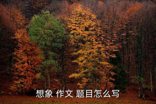 想象作文題目,想象力作文怎么寫?