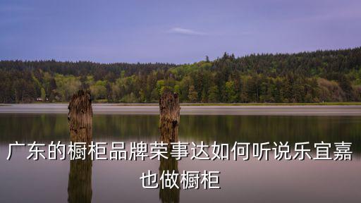 廣東的櫥柜品牌榮事達如何聽說樂宜嘉也做櫥柜