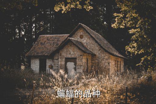  蝙蝠的品種