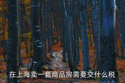 在上海賣(mài)一套商品房需要交什么稅