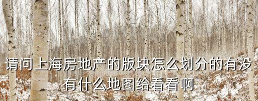 請(qǐng)問上海房地產(chǎn)的版塊怎么劃分的有沒有什么地圖給看看啊