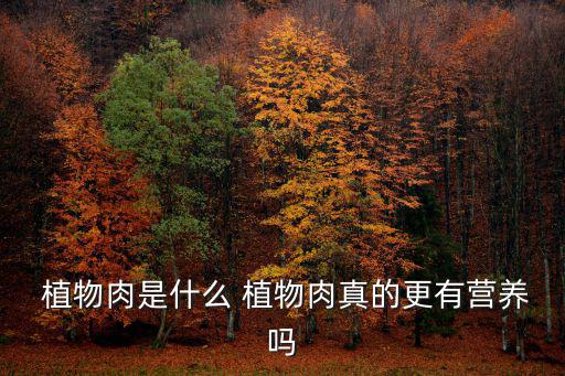 肉類植物,植物肉類營養(yǎng)不高鈉含量或達(dá)每日20%