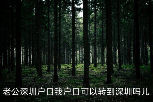 老公深圳戶口我戶口可以轉到深圳嗎兒