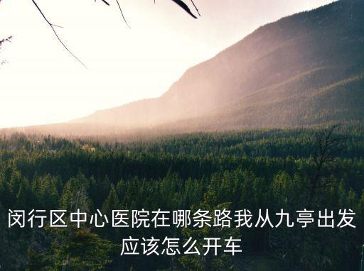閔行區中心醫院在哪條路我從九亭出發應該怎么開車