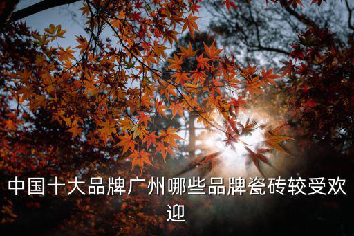 中國十大品牌廣州哪些品牌瓷磚較受歡迎