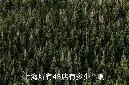 上海市一汽豐田皇冠4s店有幾家，上海所有4S店有多少個(gè)啊