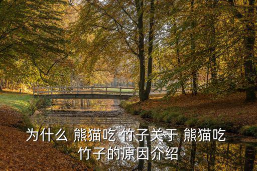 熊貓吃竹子,竹筍季節來臨熊貓只能偶爾吃一點肉