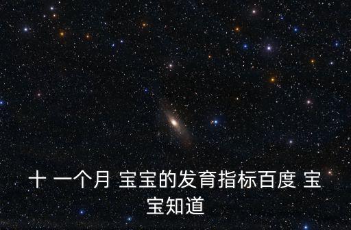 十一個月寶寶,寶寶可以參加幼兒園早教班學習廚藝