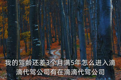 我的駕齡還差3個(gè)月滿5年怎么進(jìn)入滴滴代駕公司有在滴滴代駕公司