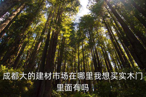 成都市建材家居體驗館，成都大的建材市場在哪里我想買實木門里面有嗎