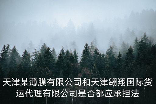 天津某薄膜有限公司和天津翱翔國際貨運代理有限公司是否都應承擔法