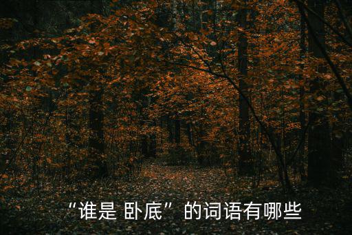 誰是臥底的詞,《誰的臥底》有何不同?