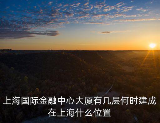 上海國際金融中心大廈有幾層何時建成在上海什么位置