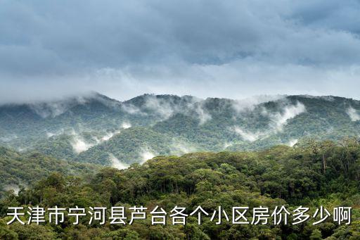 天津寧河樓房房價如何，寧河縣蘆臺鎮華翠小區一百二十多平米四樓房價