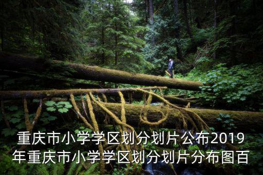 重慶市小學學區劃分劃片公布2019年重慶市小學學區劃分劃片分布圖百