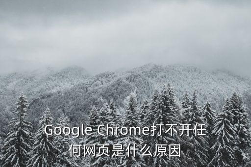 Google Chrome打不開任何網頁是什么原因
