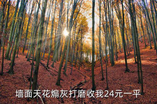 廣州墻面打磨微信群，墻面打磨機(jī)使用灰塵大不大