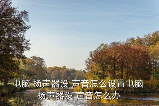 電腦 揚聲器沒 聲音怎么設置電腦 揚聲器沒 聲音怎么辦
