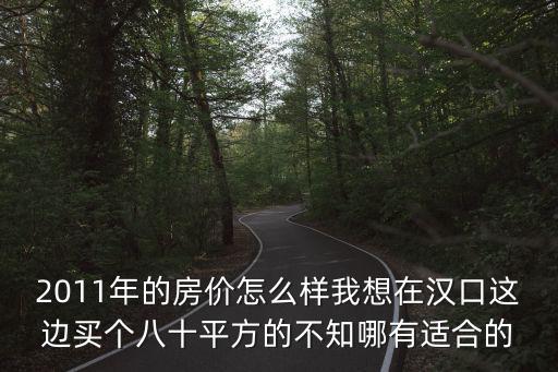 2011年的房價怎么樣我想在漢口這邊買個八十平方的不知哪有適合的